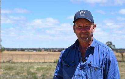 Background image for The Victorian Farmers' Federation Is Requesting Public Donations, with Every Dollar Going Towards Bushfire-Affected Communities