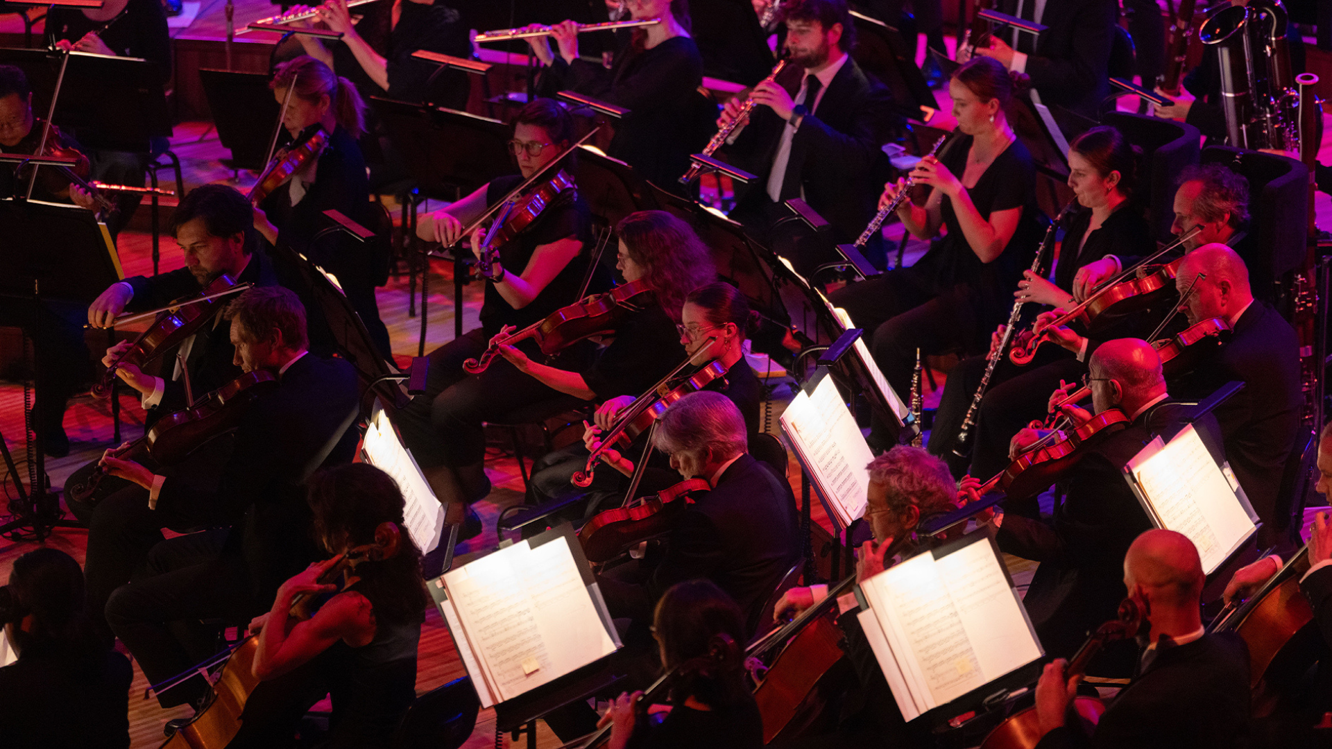 Harry Potter and the Philosopher's Stone Sydney Symphony Orchestra