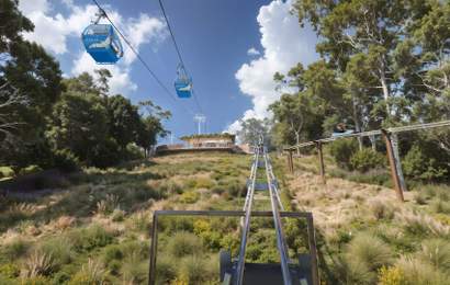 Background image for Get Ready to Luge Through the Mornington Peninsula Wilderness, as Arthurs Seat Eagle Embarks on an Action-Packed Upgrade