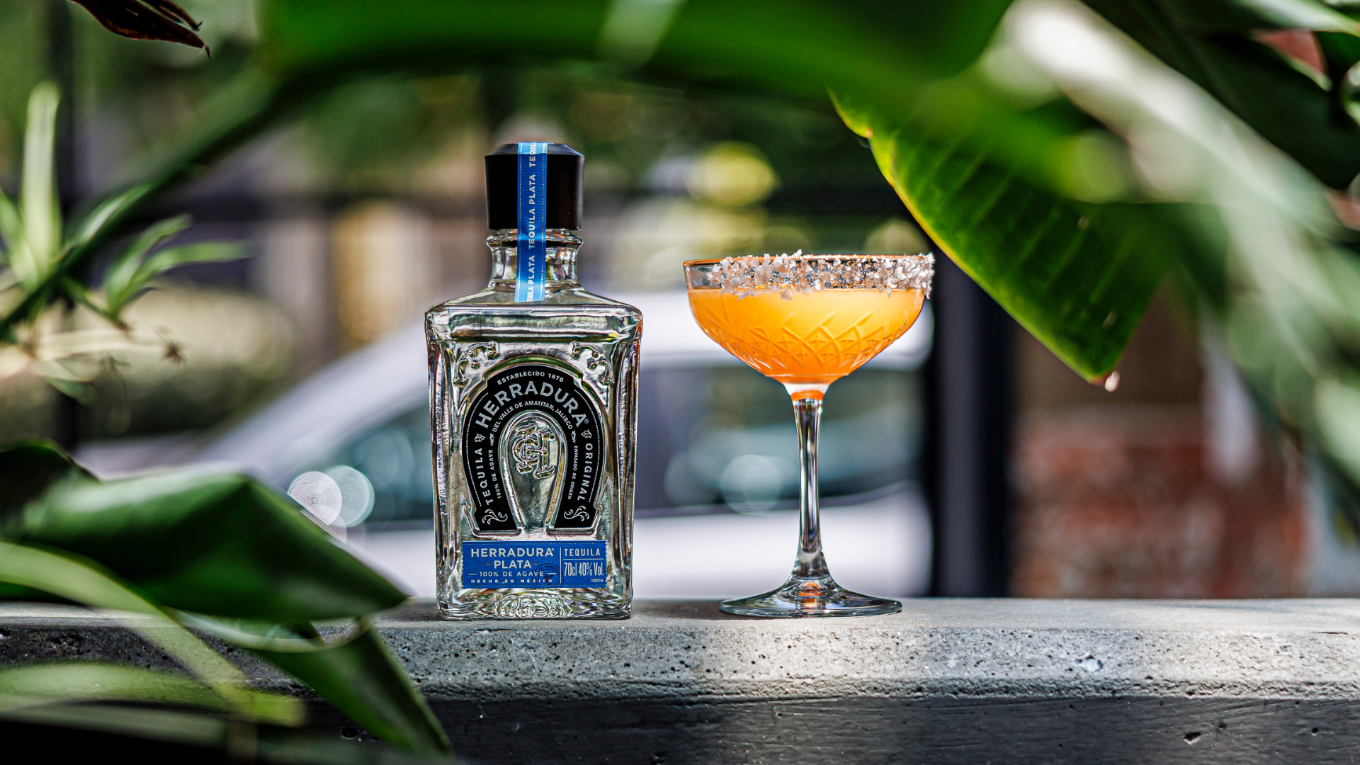 Stratton Bar & Kitchen