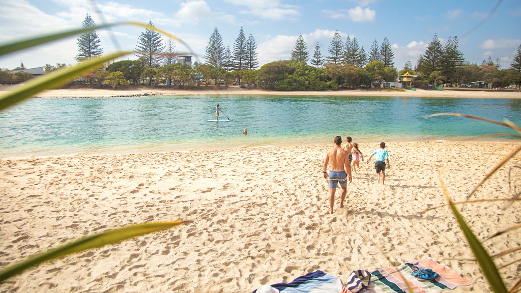 Your Guide to a Gold Coast Family Holiday Filled with Adventure, Nature and Play