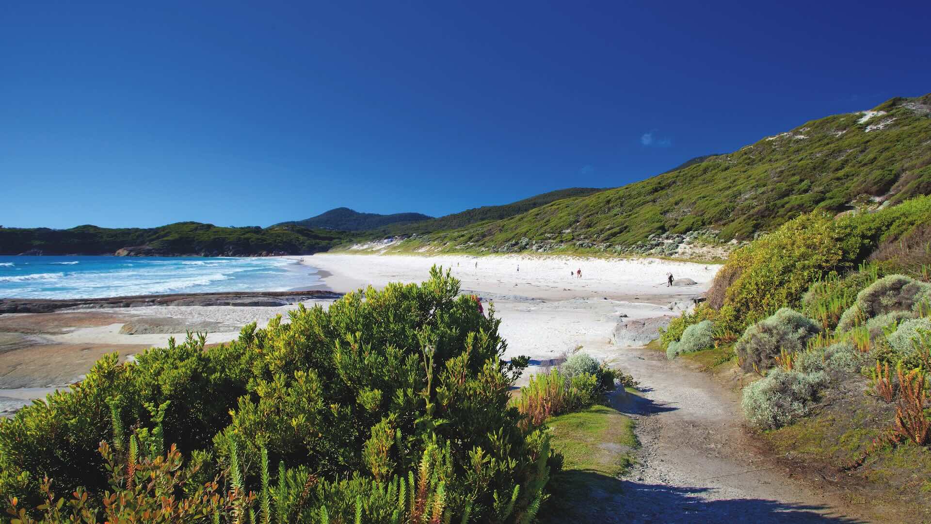 Squeaky Beach, Wilsons Promontory National Park, Victoria, Australia; Shutterstock ID 170522096; purchase_order: -; job: -; client: -; other: -