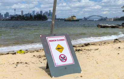 Background image for A Shark Expert's Advice on How to Stay Safe in Australian Waters