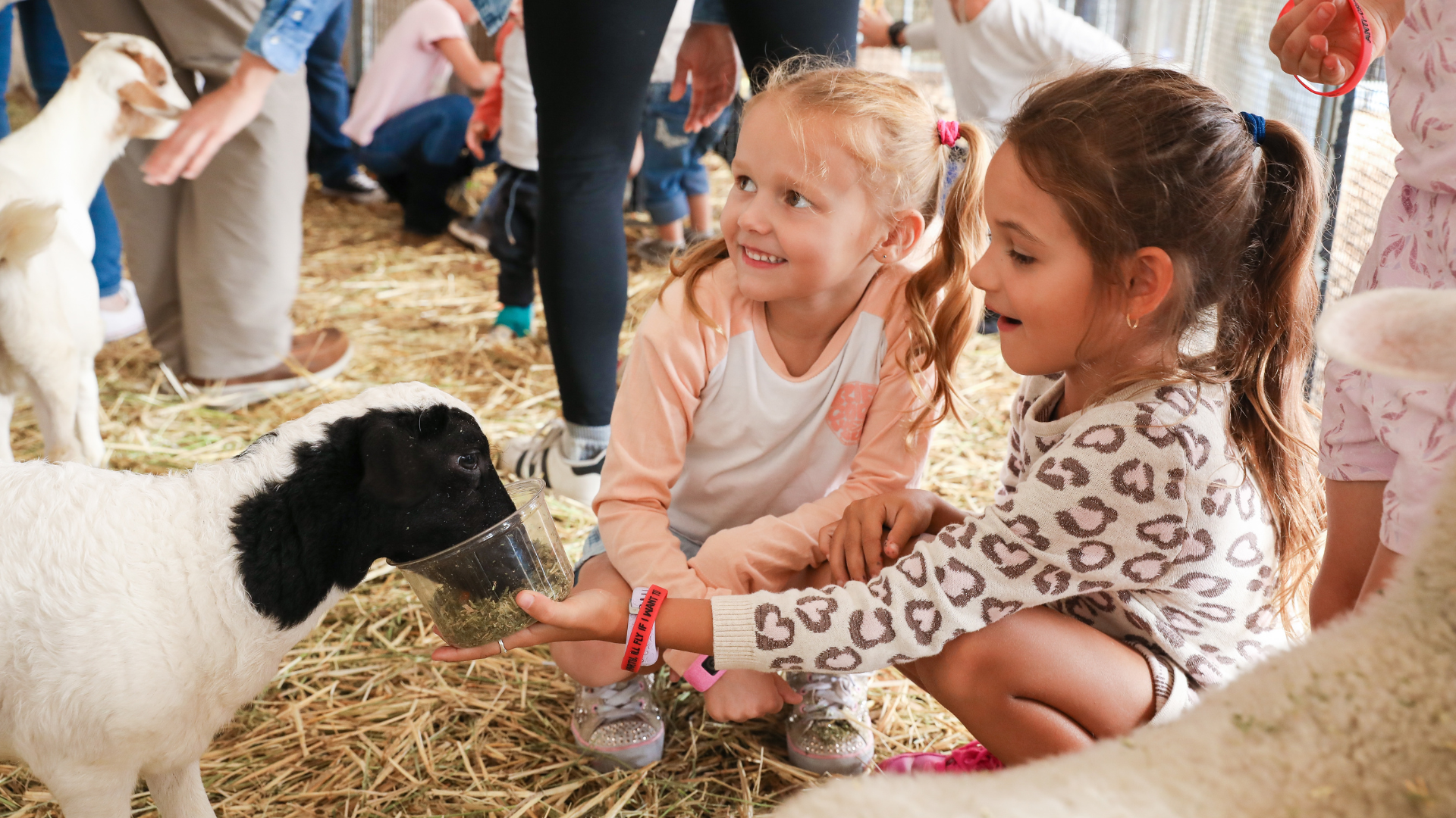 Ingenia Holiday Parks Sydney Family Easter Show