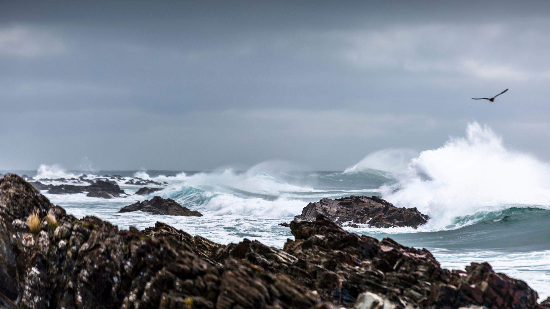 Elemental, Unruly and Remote: A Weekender's Guide to Tasmania's King Island