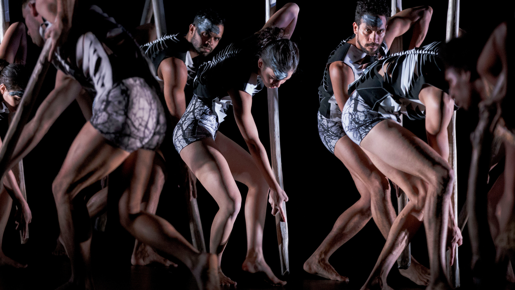 Why Bangarra Dance Theatre is the Cultural Experience to Try in 2026