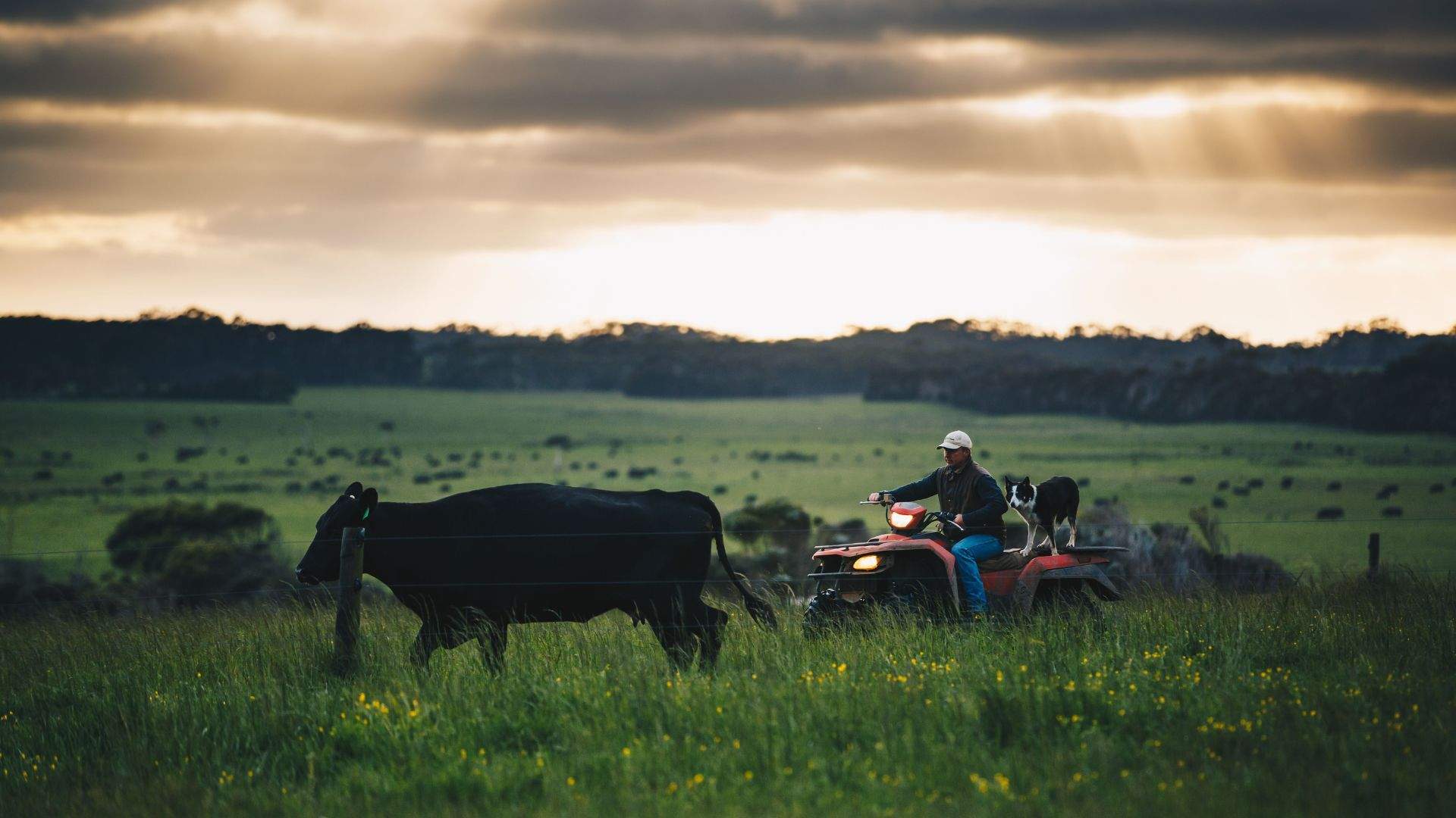 Elemental, Unruly and Remote: A Weekender's Guide to Tasmania's King Island