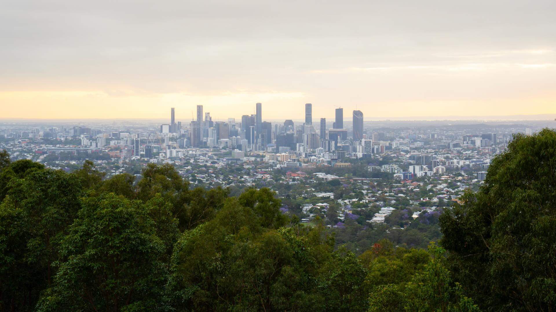 Brisbane city skyline is rising behind the green trees at sunrise, creating a breathtaking urban landscape