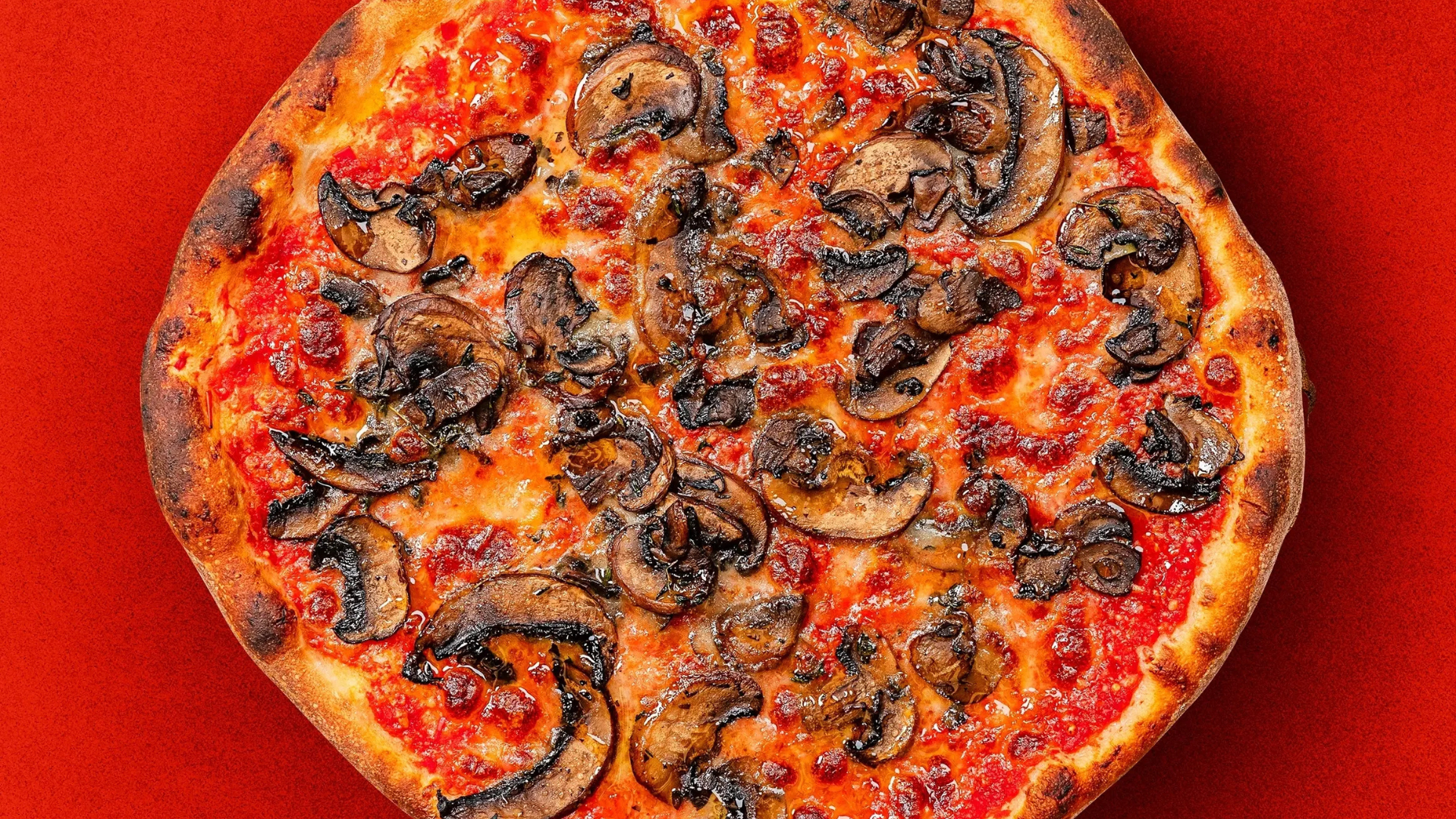 Paulie's Pizza Pezzo, Darlinghurst