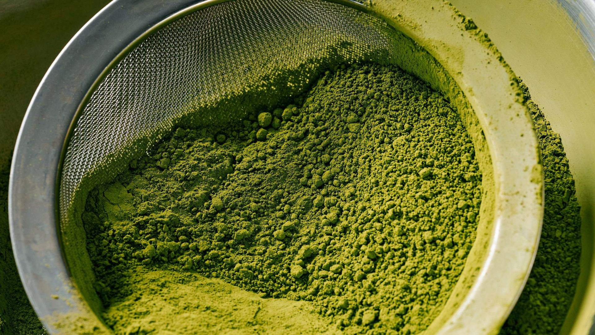Pidapipo's Beloved Hot Chocolate Is Back for Winter — and This Year It Debuts a Matcha Version