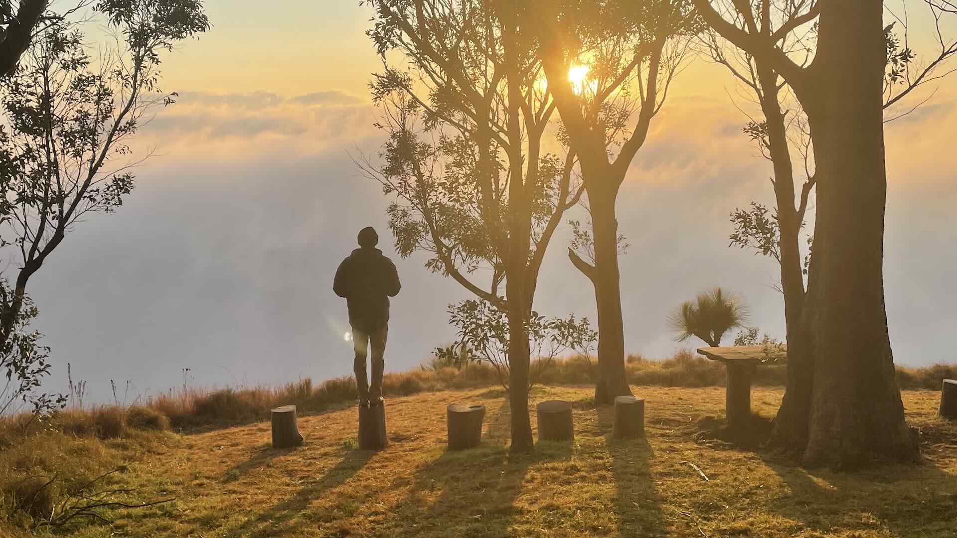 You Can Walk Queensland's Scenic Rim Trail On a New Self-Guided Package With Luxury Eco Stays