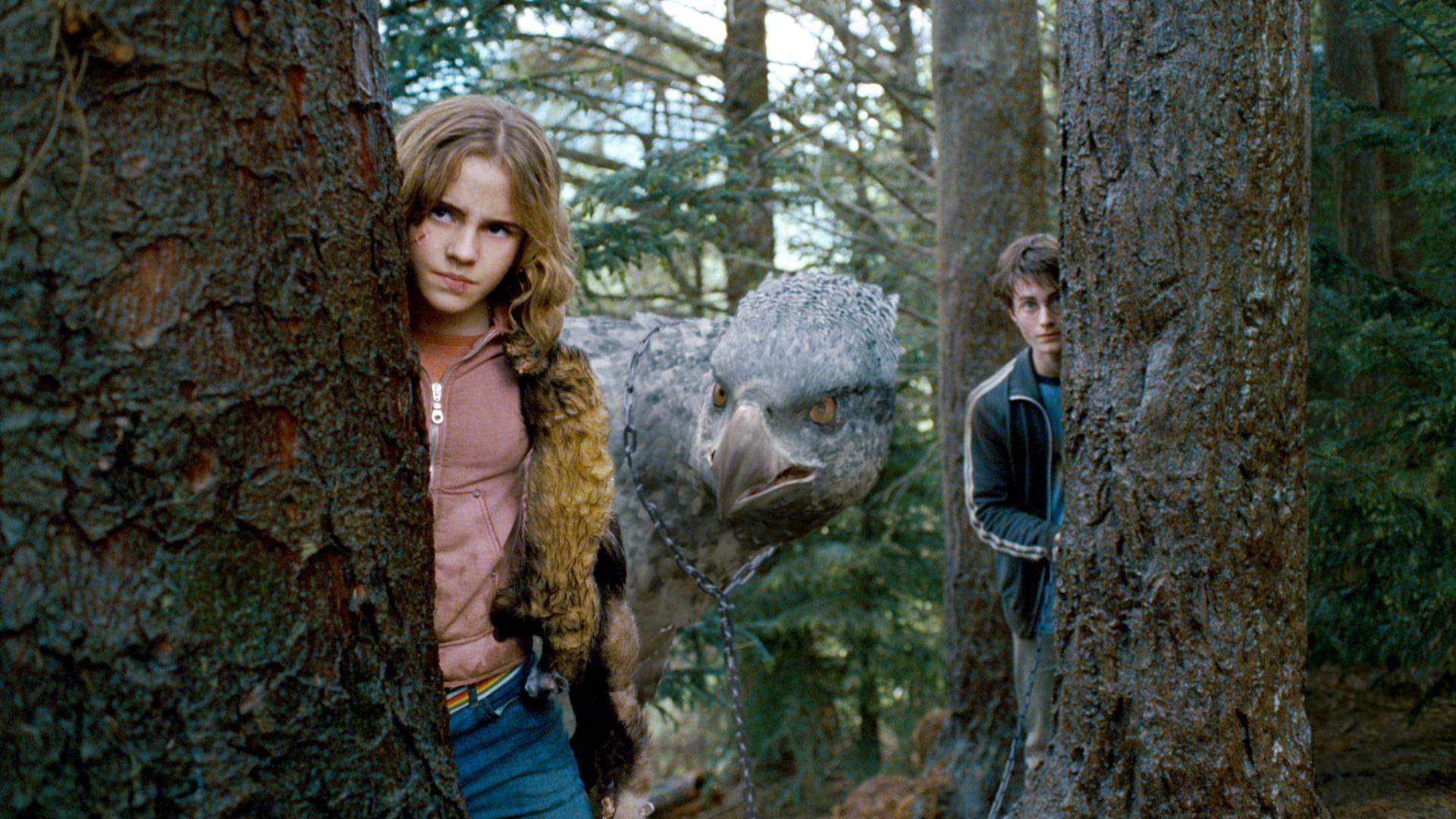 Harry Potter and the Prisoner of Azkaban in Concert with Melbourne Symphony Orchestra