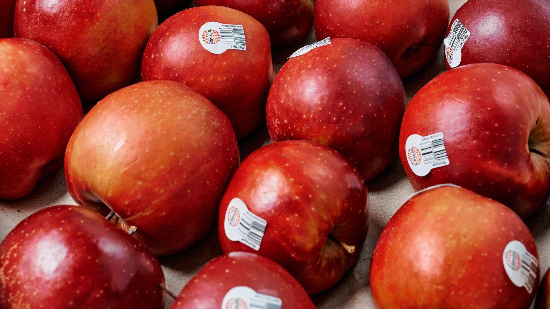 Pidapipo Just Dropped Seven Limited-Edition Flavours, Including Winter Pavlova, Tiramisu and Apple Tarte Tatin