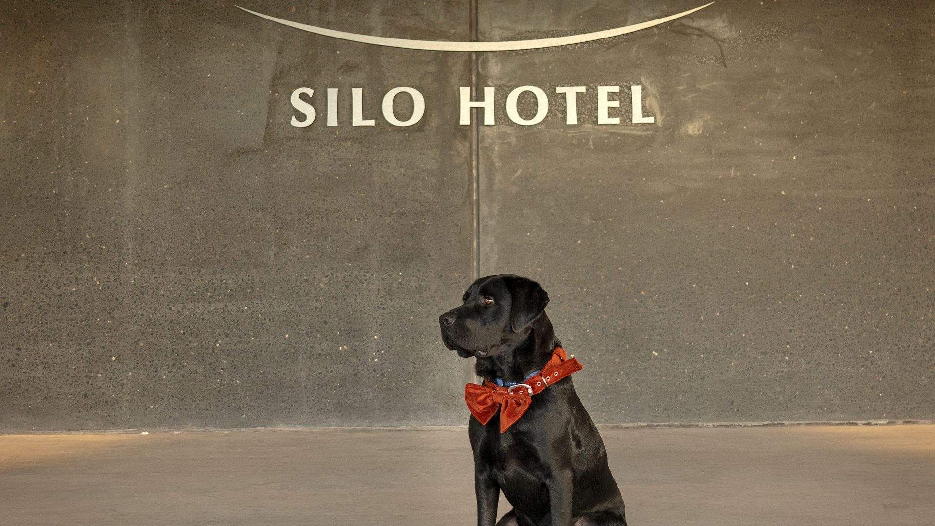 Peppers Silo Launceston