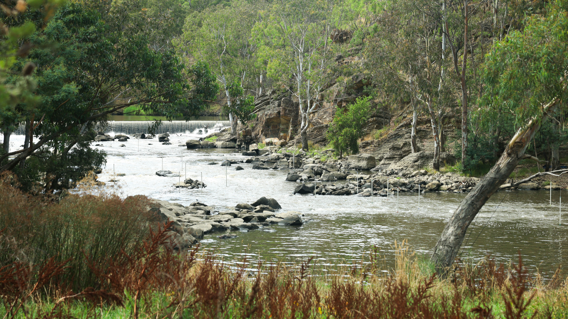 Yarra River at Yarra Bend Park