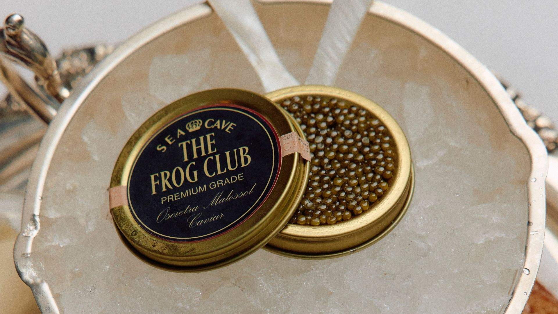 The Frog Club
