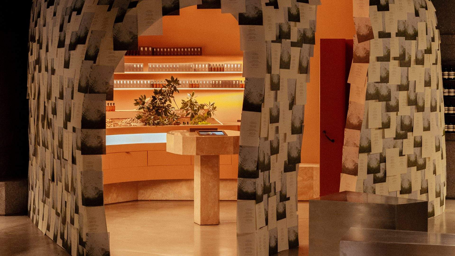 Aesop's Fragrant Fables Perfumery Has Turned Its Sydney CBD Store Into a Living Library of Scent