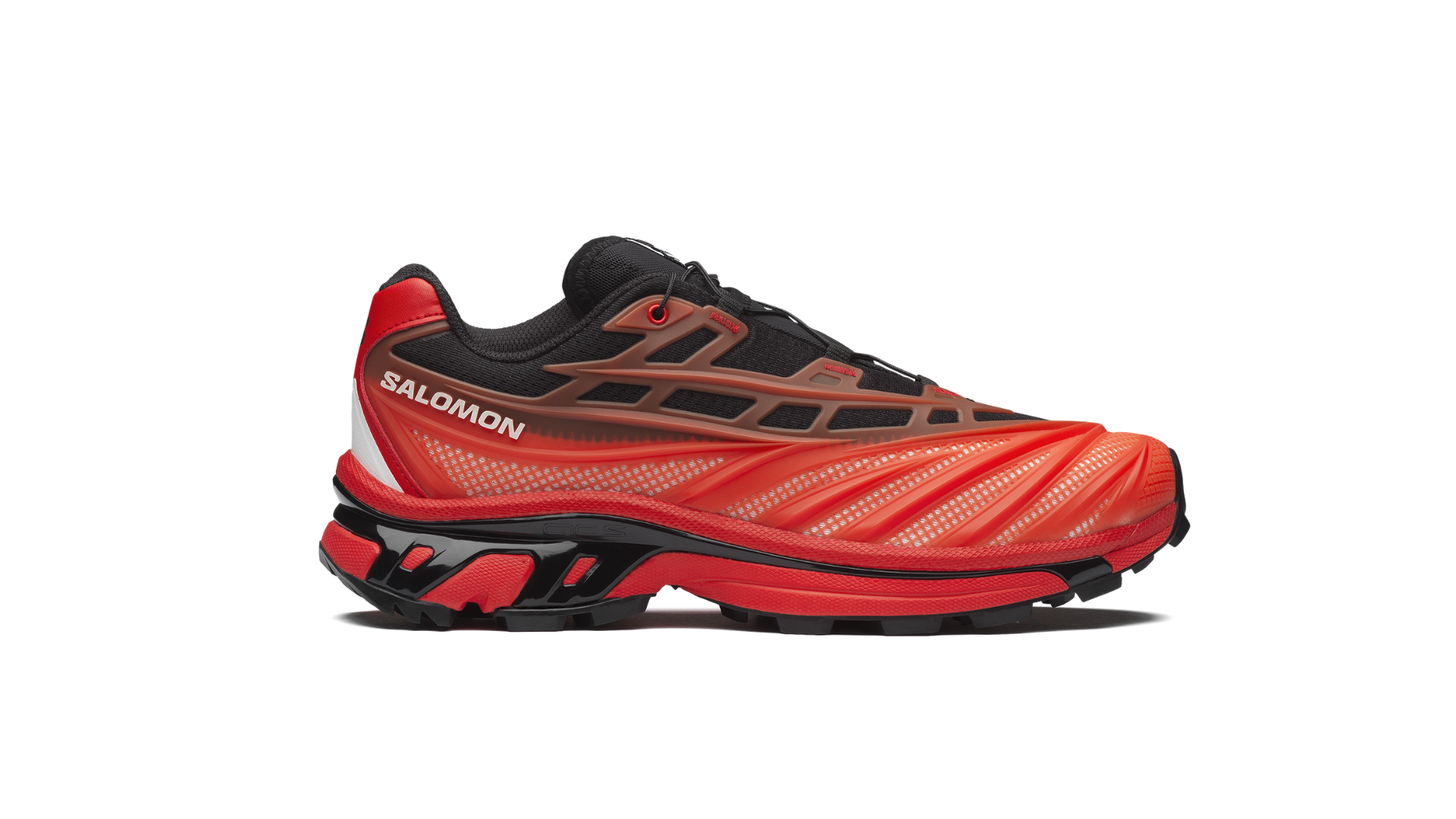Salomon