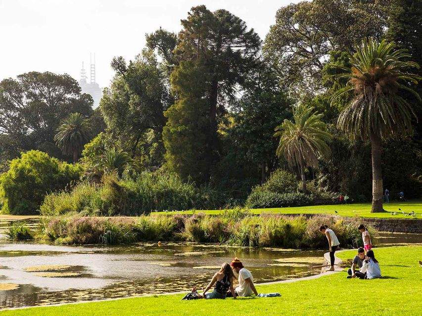 Ten Idyllic Picnic Spots Where You Can Throw a Rug Down in Melbourne
