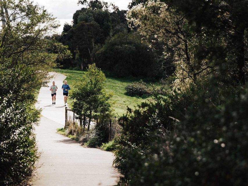 Nine of the Best Walks Around Metro Melbourne