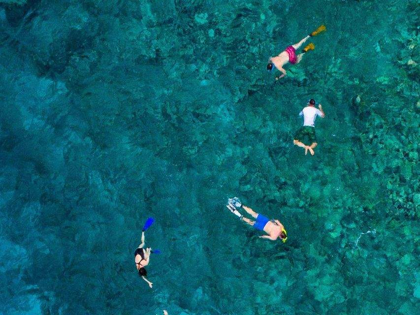 Thirteen of the Best Snorkelling Spots in Sydney You Should Bookmark for Summer